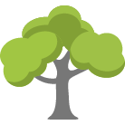 Costa Mesa Tree Removal Service