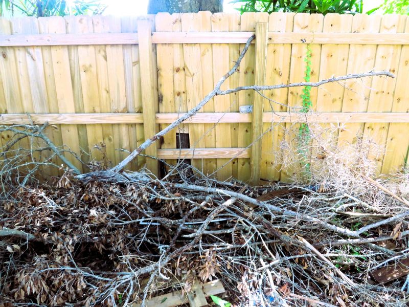 Dogwood Tree Removal