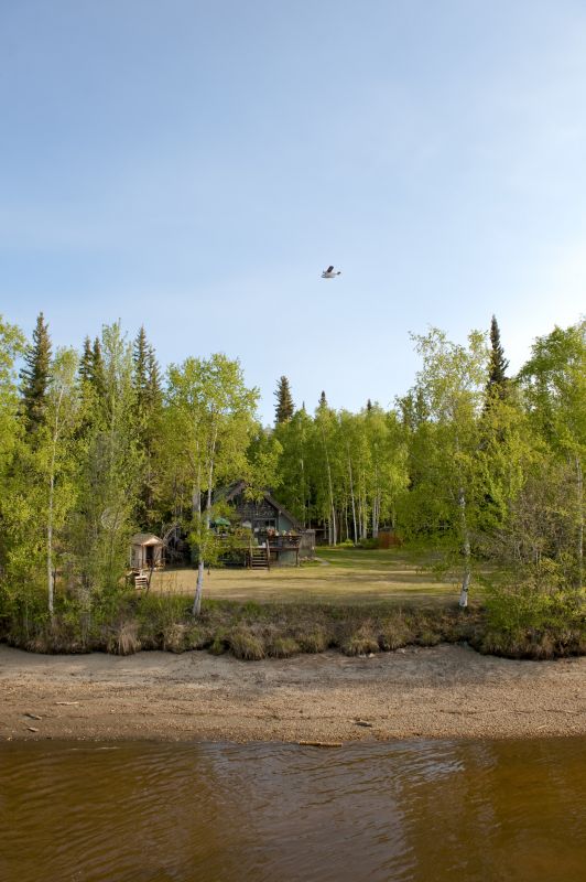 Landscape After Removal